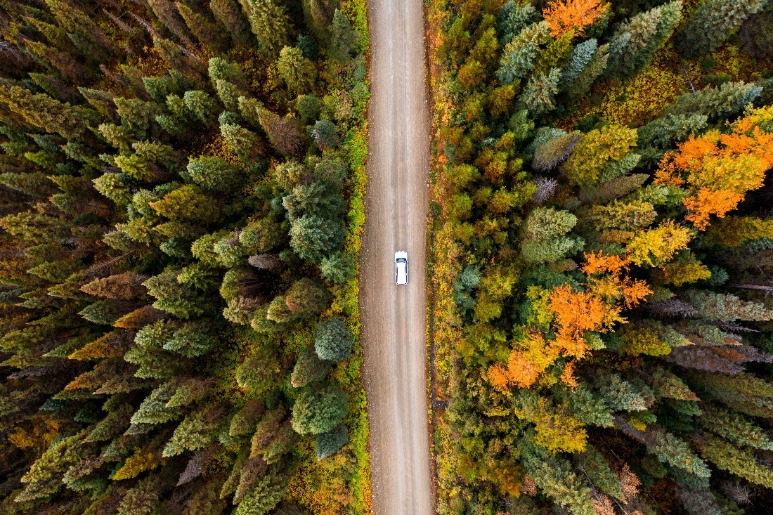 Autumn Drives